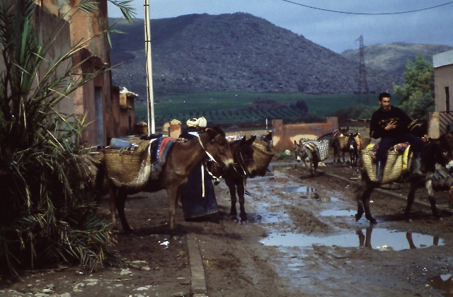 Highway 7 between Marrakech and Casablanca